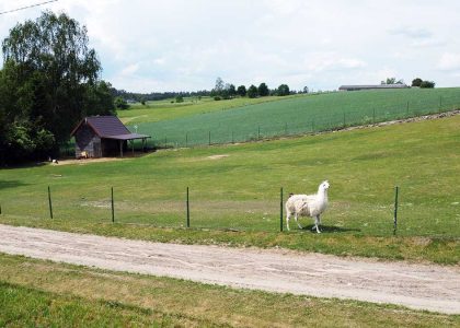 Agroturystyka Ze Zwierzętami Kaszuby